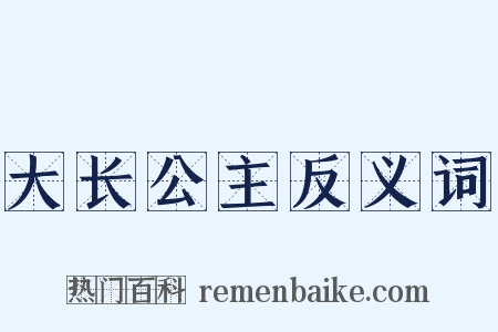 大长公主反义词是什么意思的图片